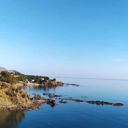 Apartamento Ca La Nuri Pis 4 Vistas Al Mar Llançà Exterior foto